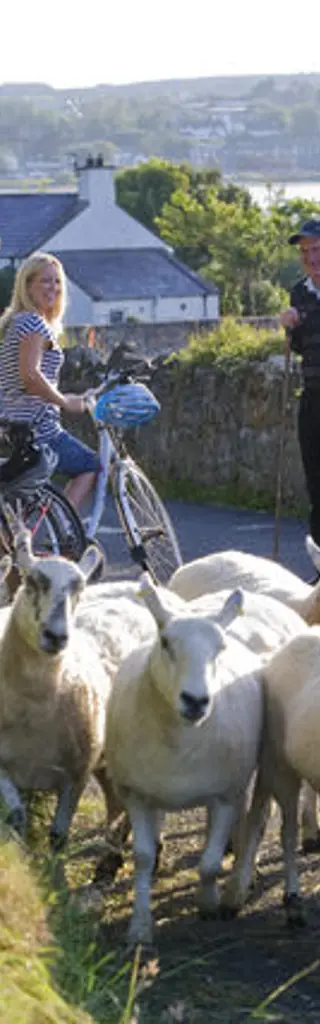 Irland – Velotour Ring of Kerry